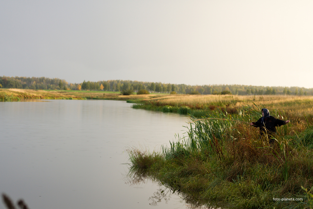 Ловись рыбка. Митюхин пруд 2011 г