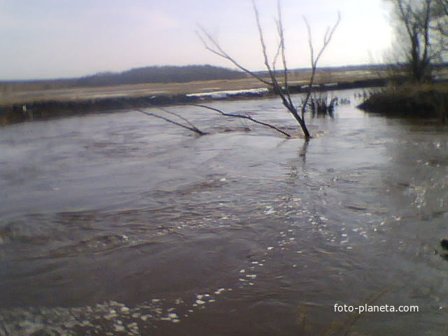 Весеннее половодье на реке Сок