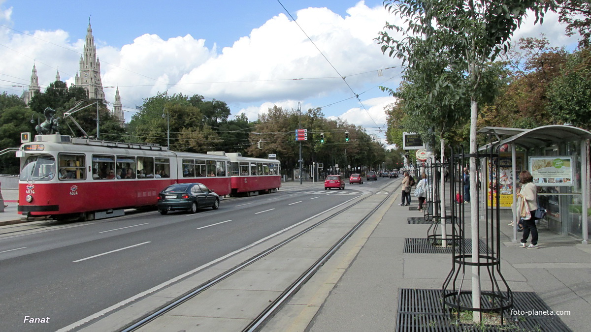 Трамваи на улице Вены