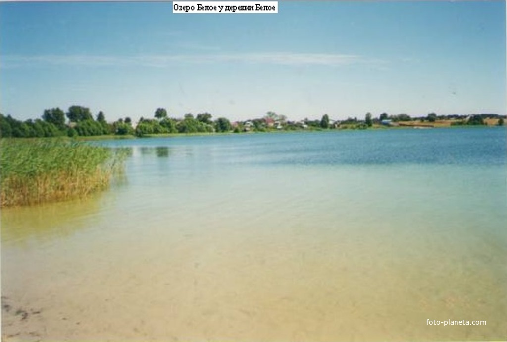 Озеро Белое у деревни Белое