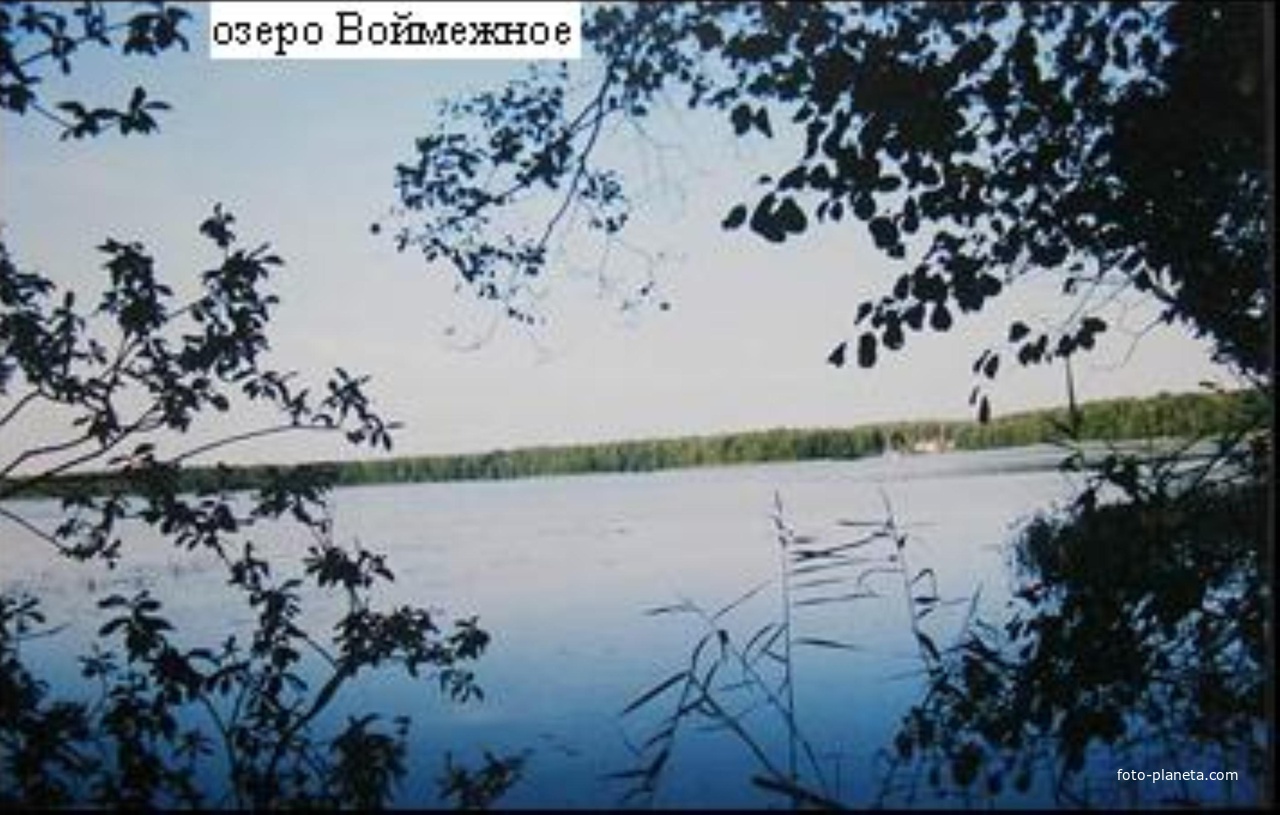 Озеро Воймежное в 3,5км юго-восточнее посёлка. Вид с западного берега. Август 1997г.
