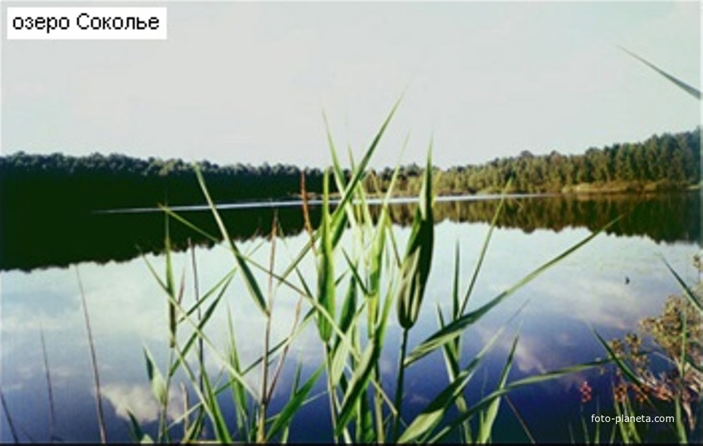 Озеро Соколье у бывшего посёлка  Соколья Грива. Вид с северо-запада. Сентябрь 1998г.