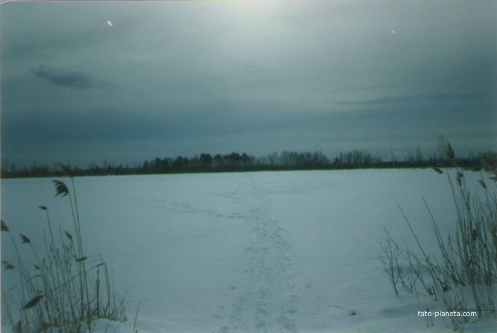 Озеро Соколье у бывшего посёлка Соколья Грива. Вид с востока на запад. Февраль 2007г.