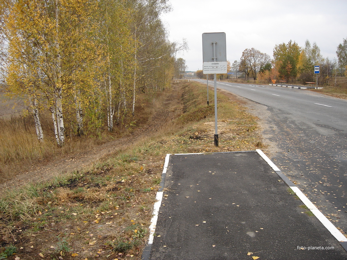 суховичи осень