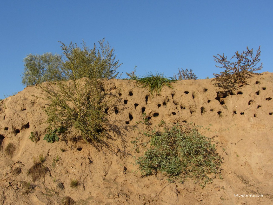 Великий Новгород