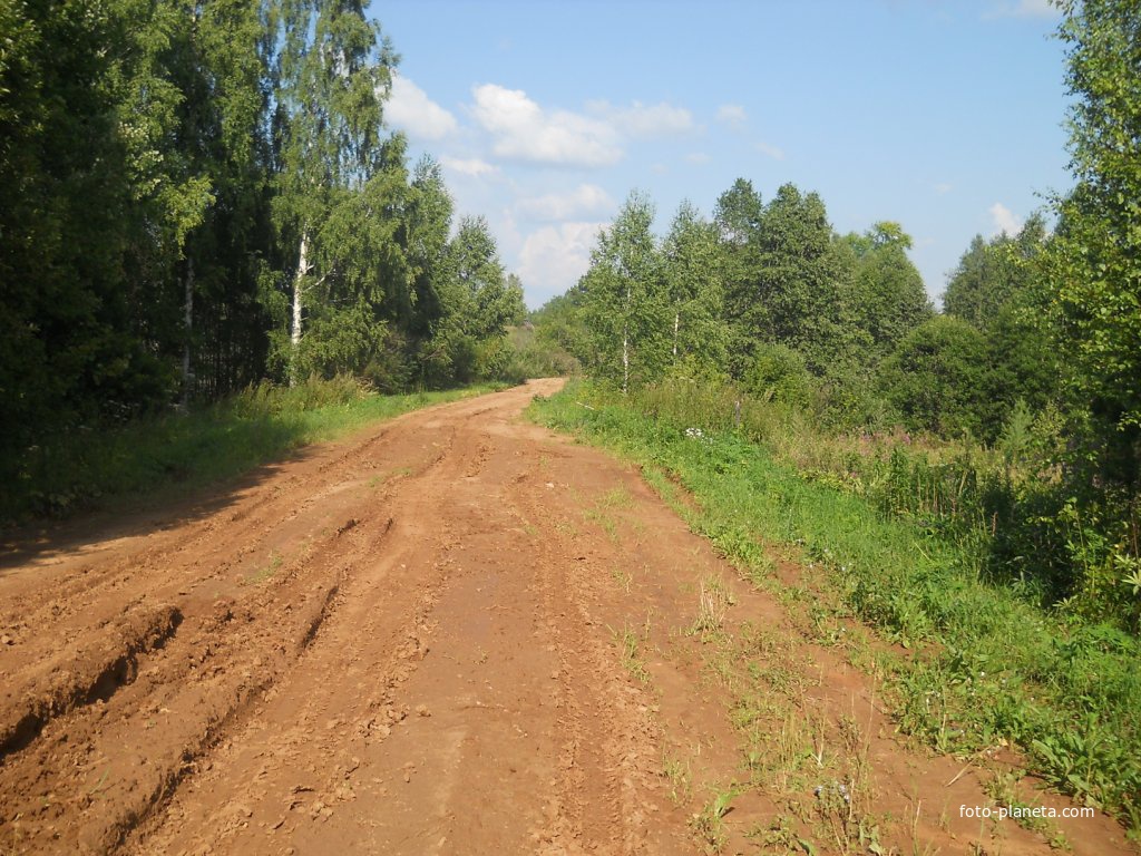 Дорога перед деревней у р.Шудумки, 2014г.