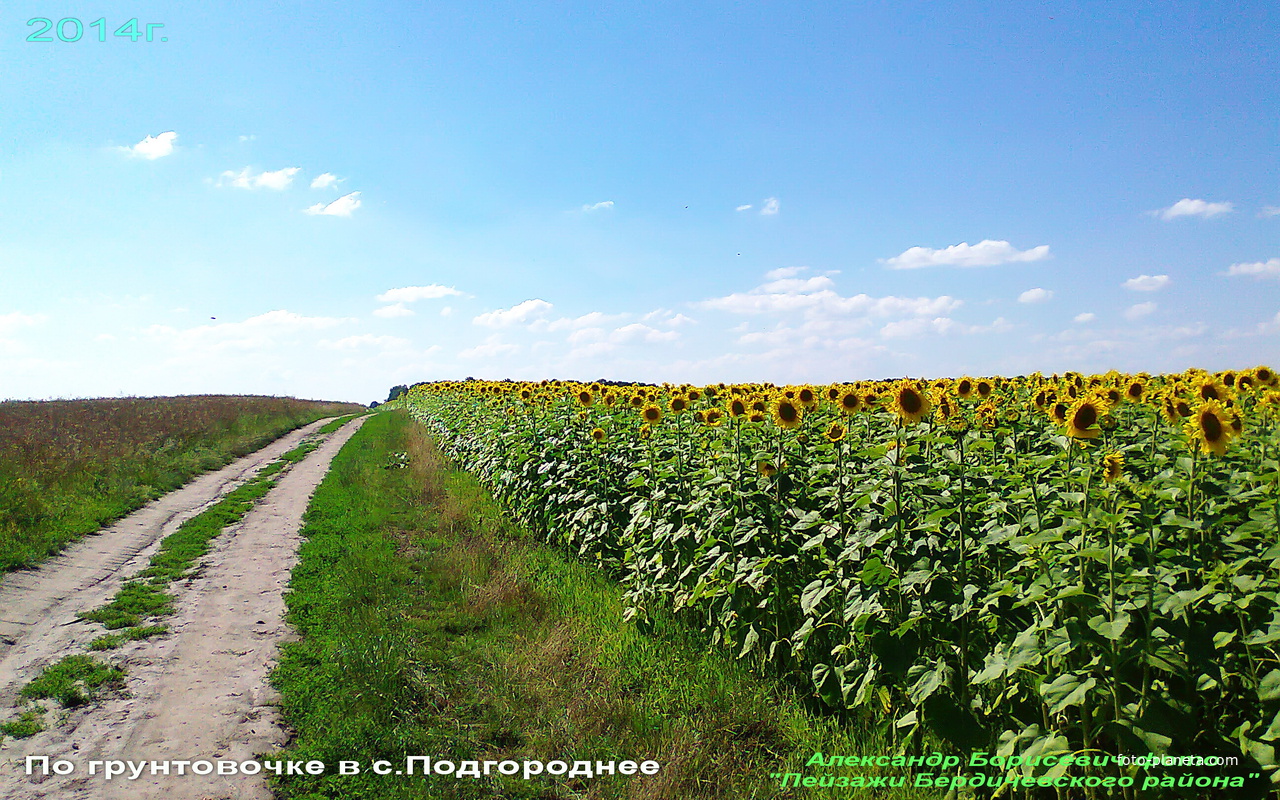 Вторая дорога в село Подгородное, в направлении кладбища села.