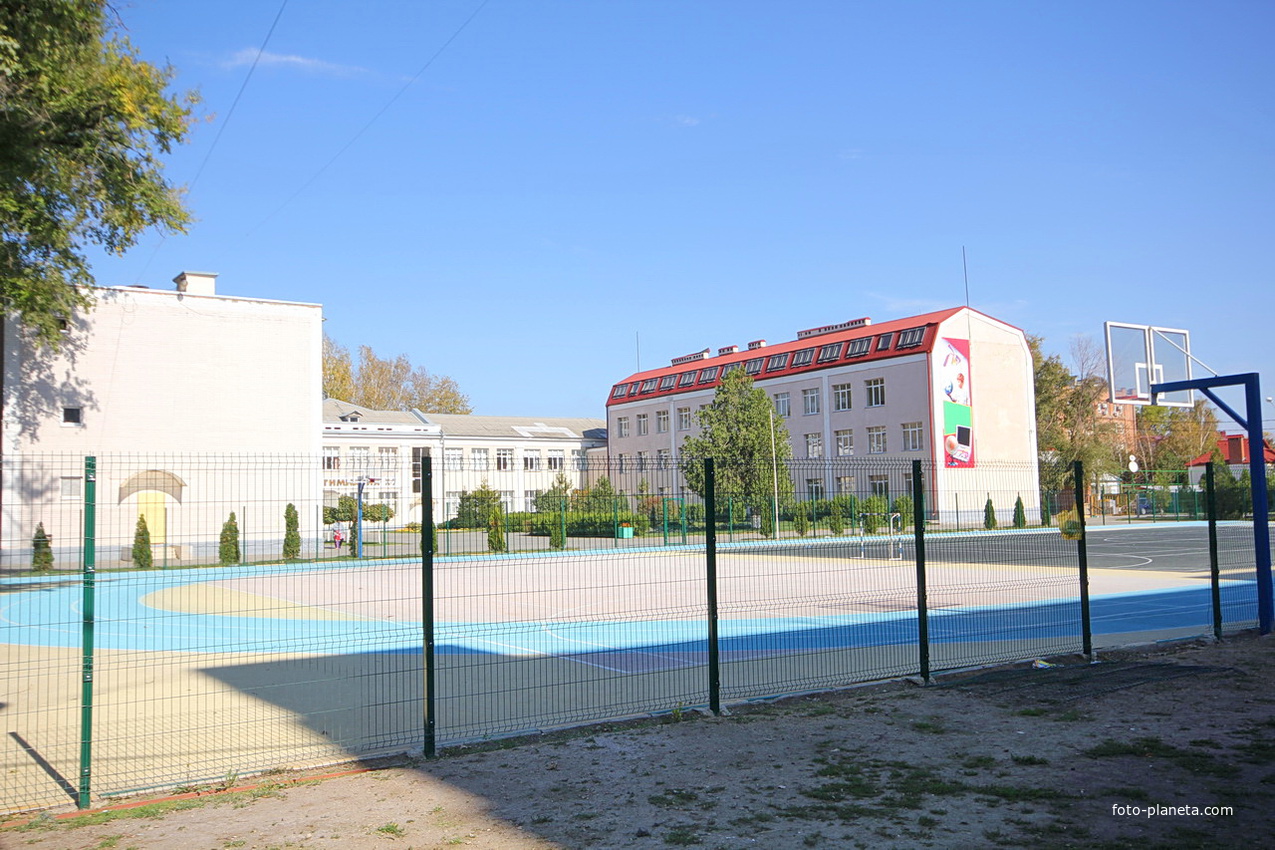 Гимназия №7