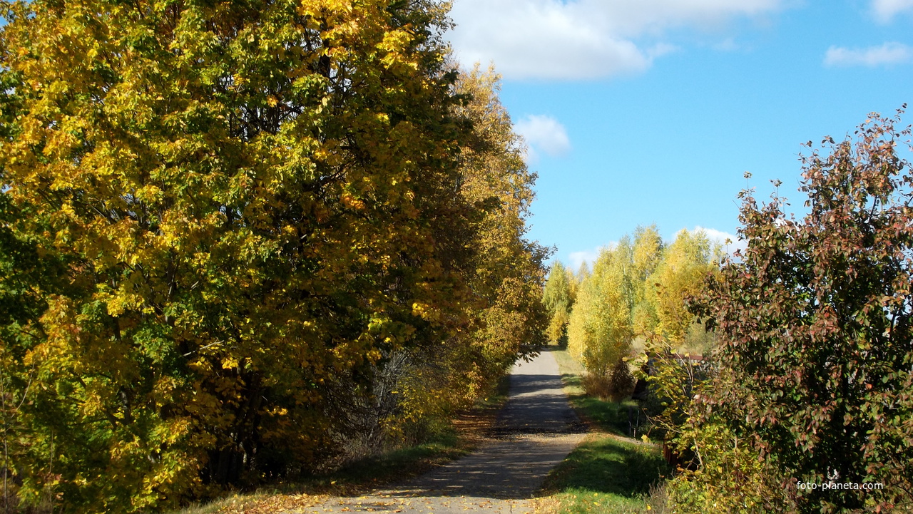 Золотая осень в Кошнево