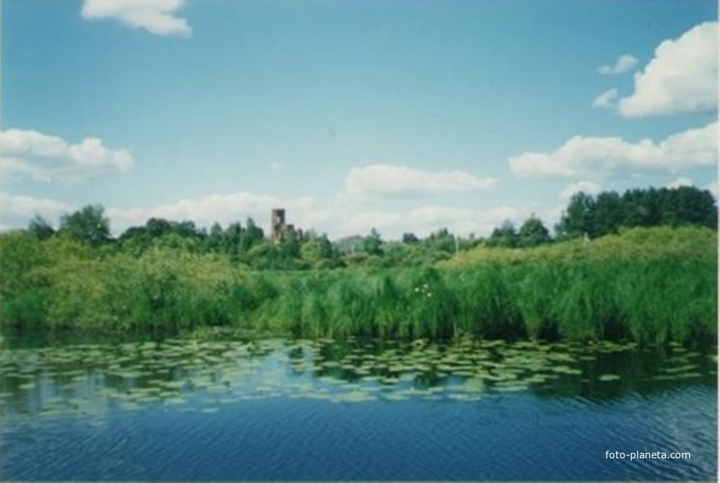 Вид на колокольню Николо-Ялминского храма с реки Пра у деревни Подсвятье