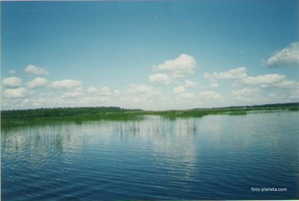 Озеро Шагара за деревней Подсвятье