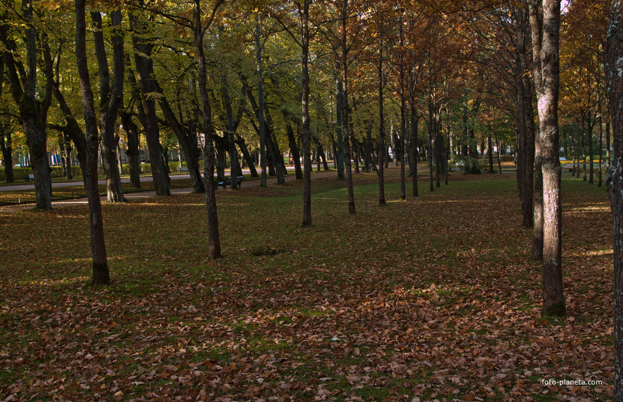 Павловский парк