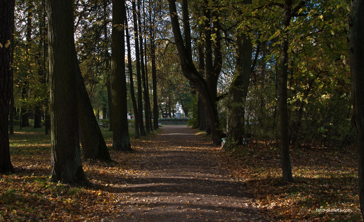 Павловский парк