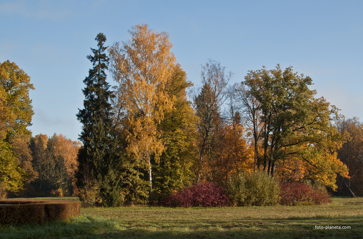 Павловский парк