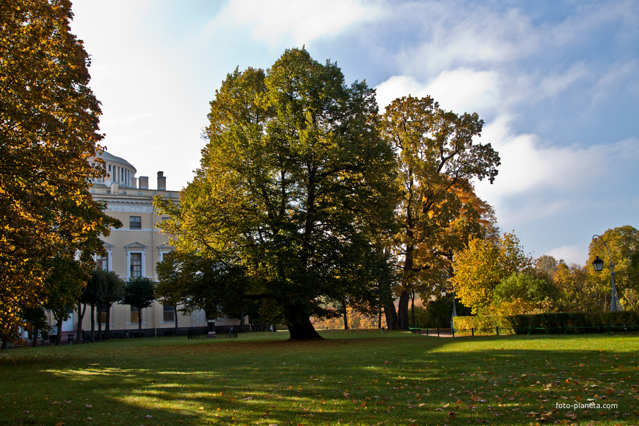 Павловский парк