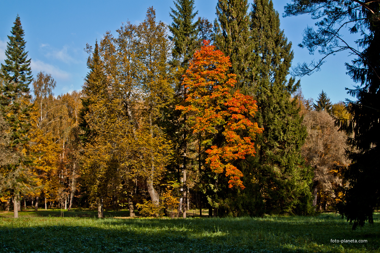 Павловский парк