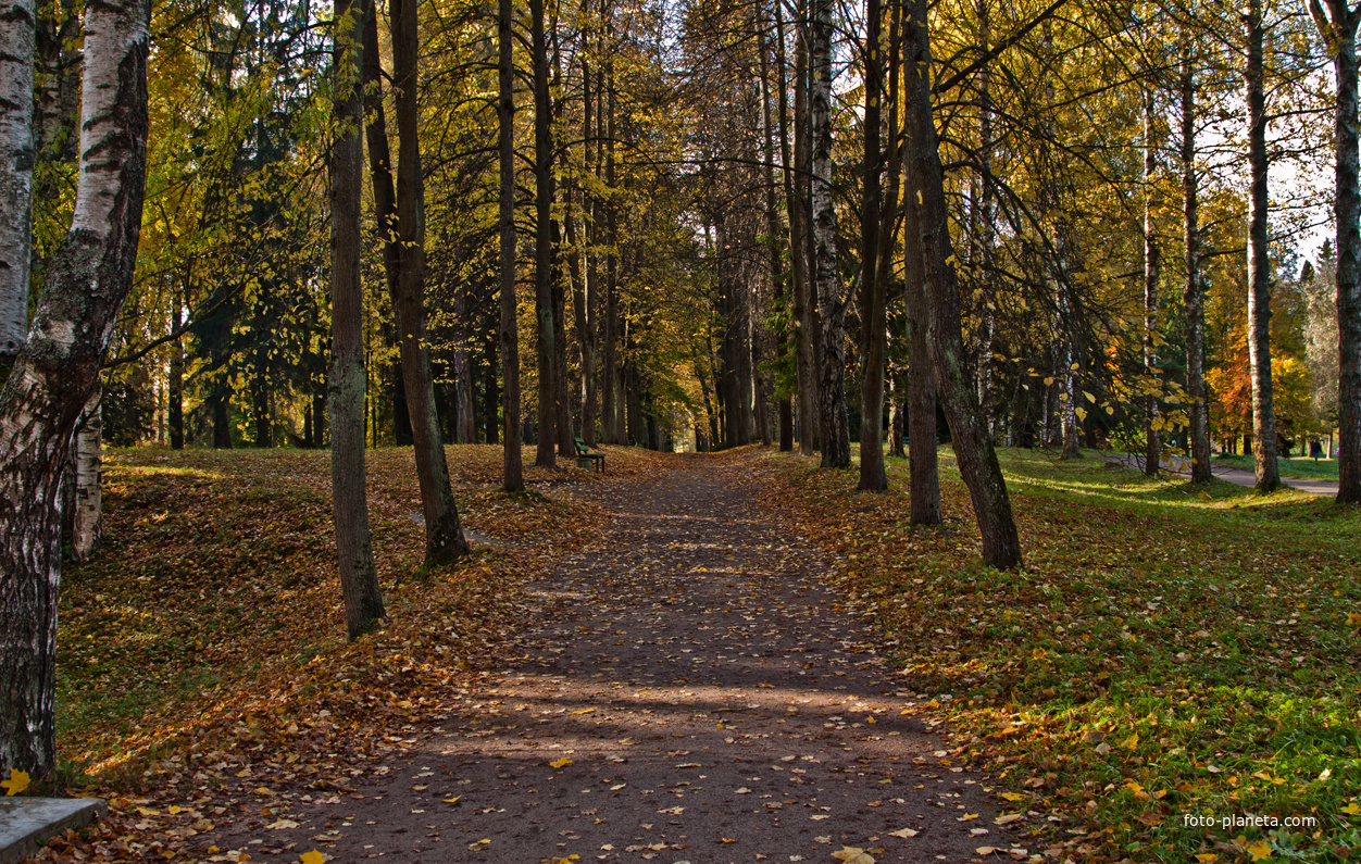 Павловский парк