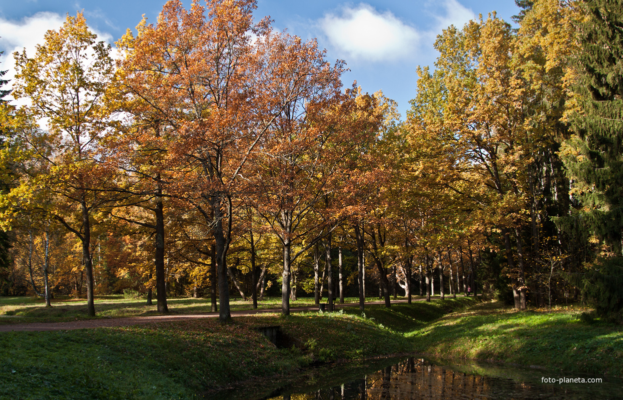 Павловский парк