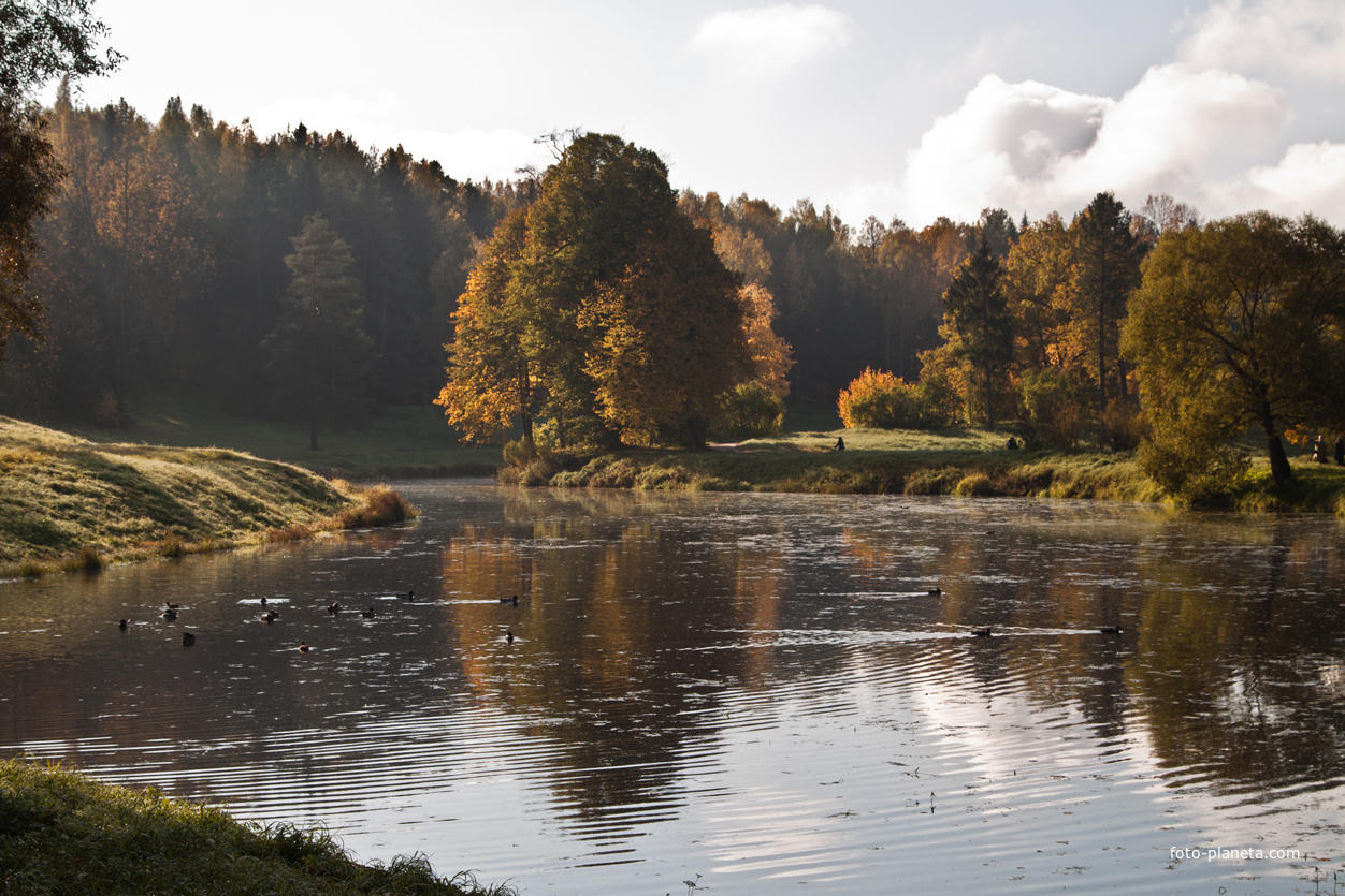 Павловский парк