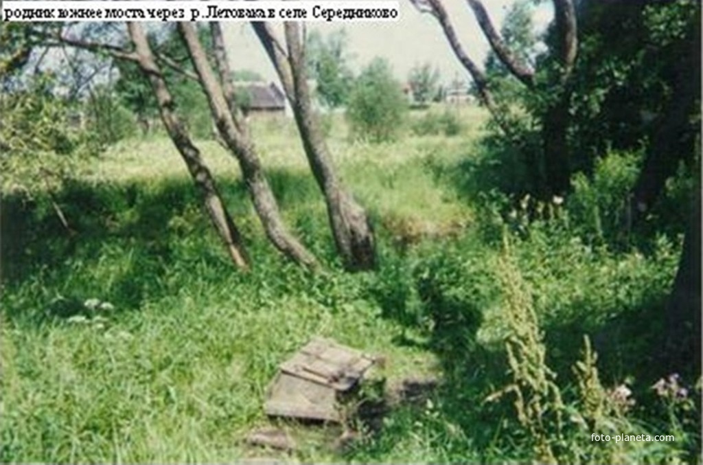 Родник южнее моста на реке Летовка в селе Середниково