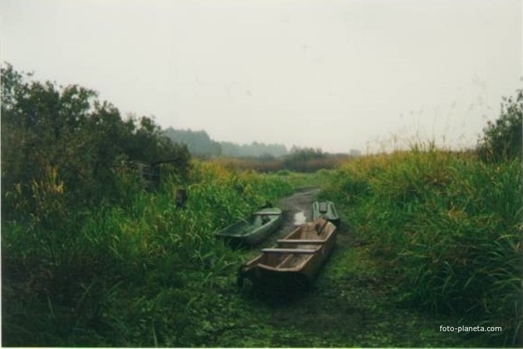 &quot;Чёрные лодки&quot; на пересохшей протоке к реке Бужа у деревни Шестимирово