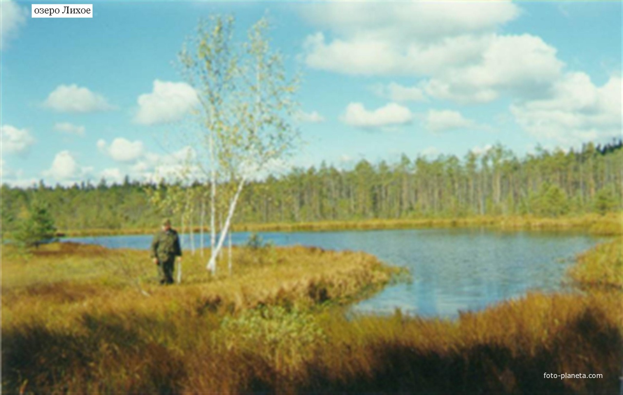 Озеро Лихое севернее п. Мишеронский