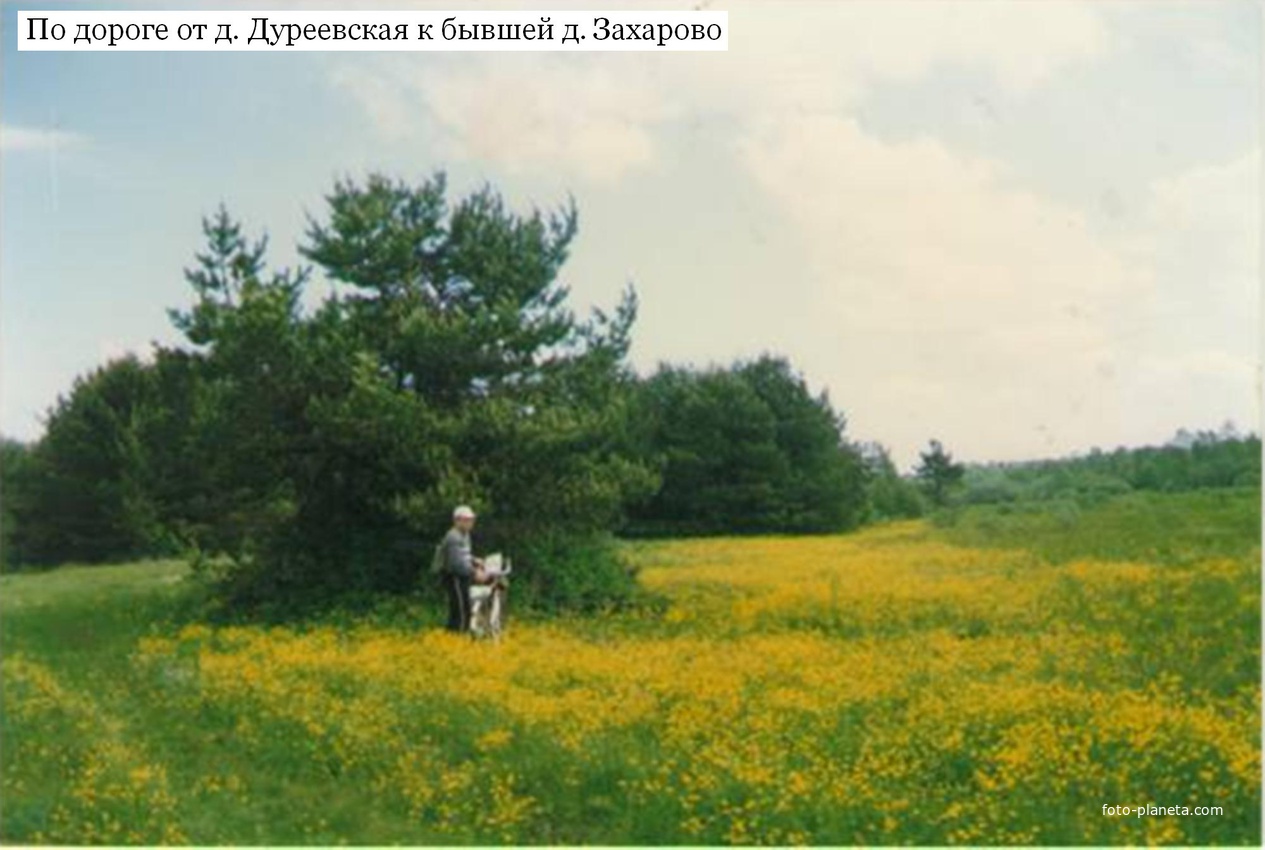 По дороге от деревни Дуреевская к бывшей деревне Захарово