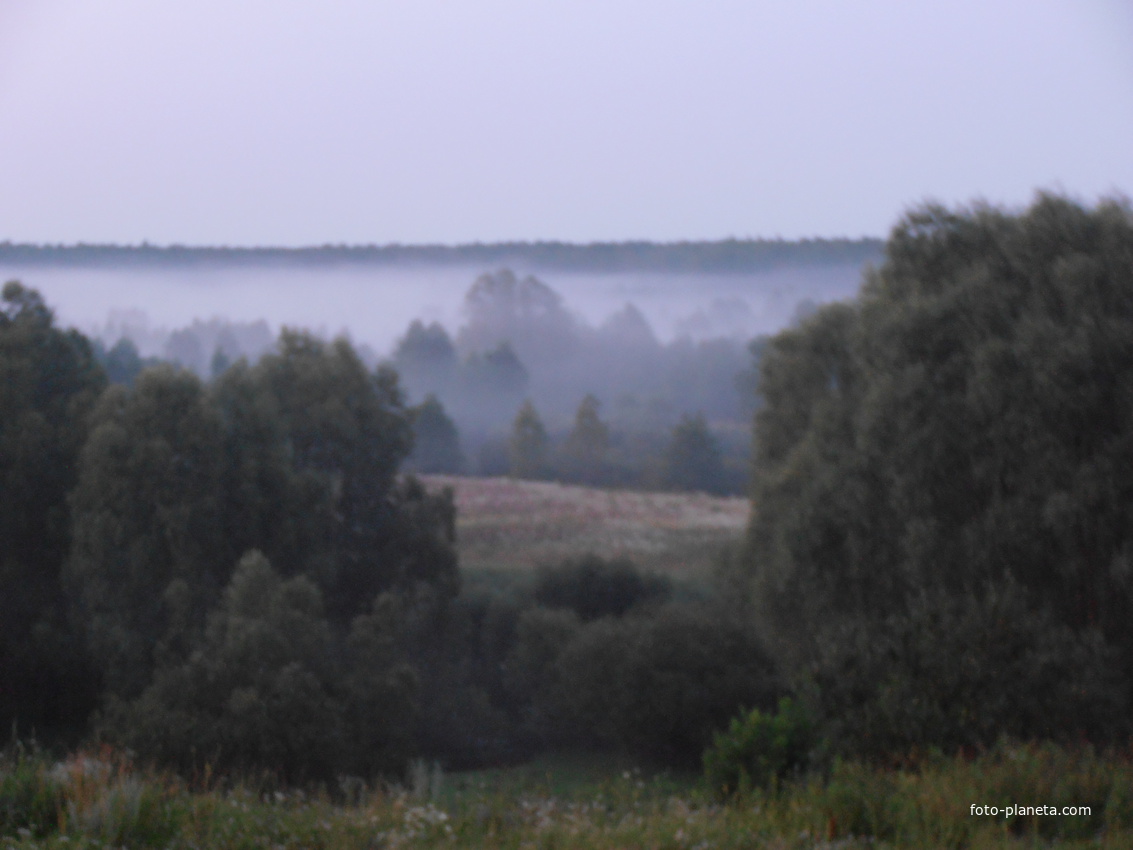 Туман над лесом д.Семиричи