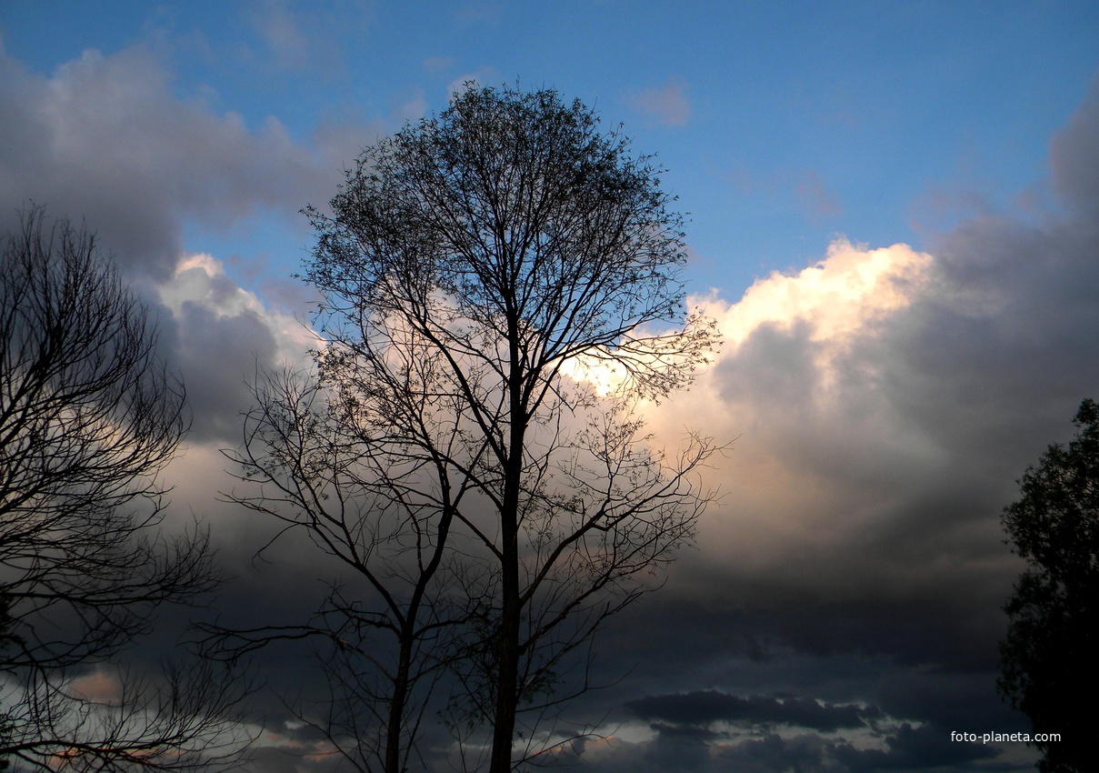 Природа села Новоалександровка