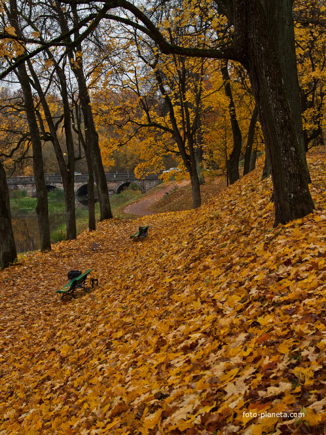 В Дворцовом парке