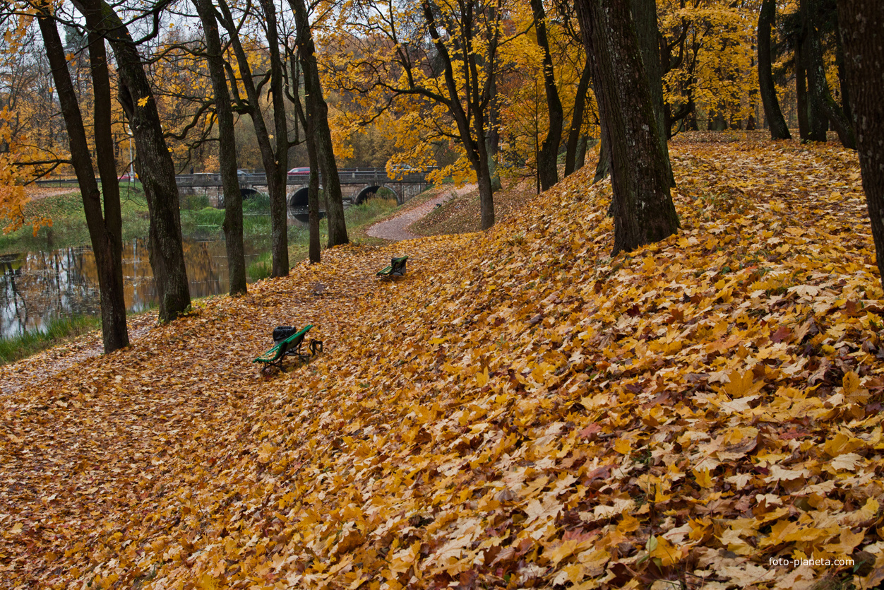 Дворцовый парк