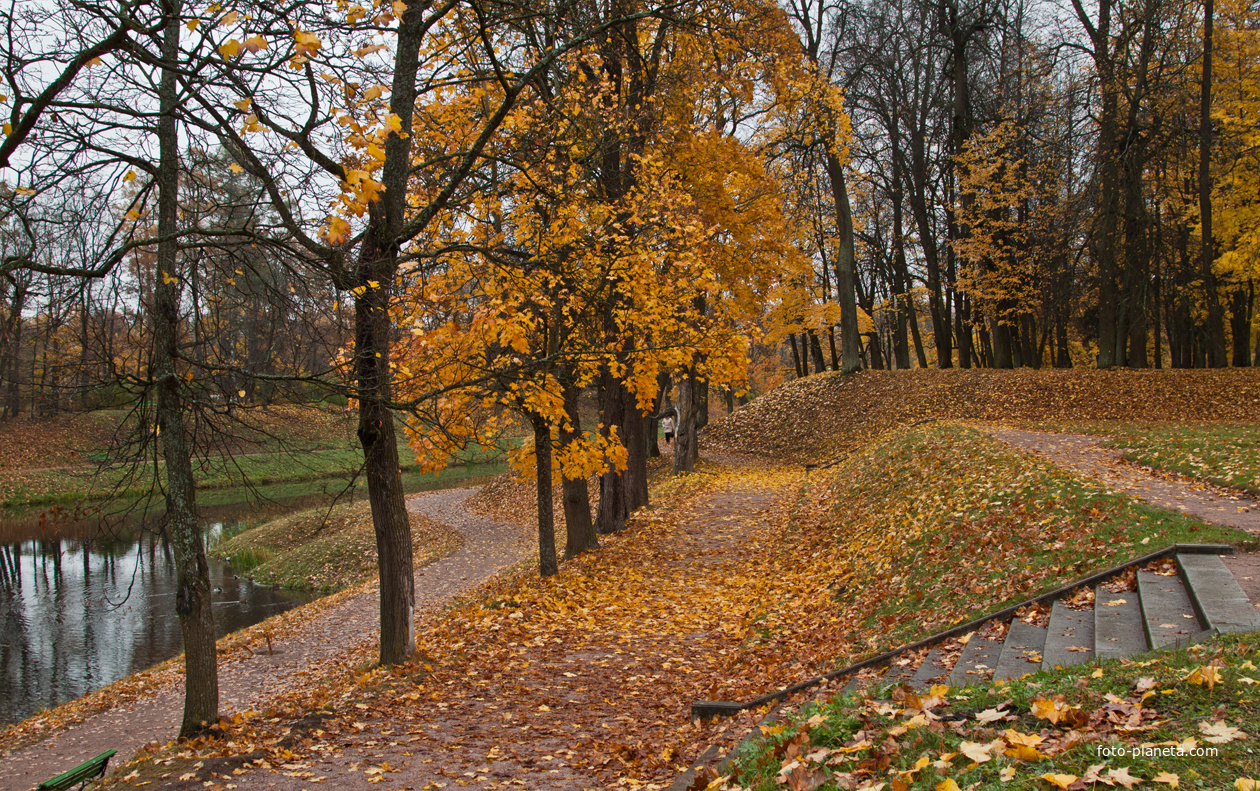 Дворцовый парк