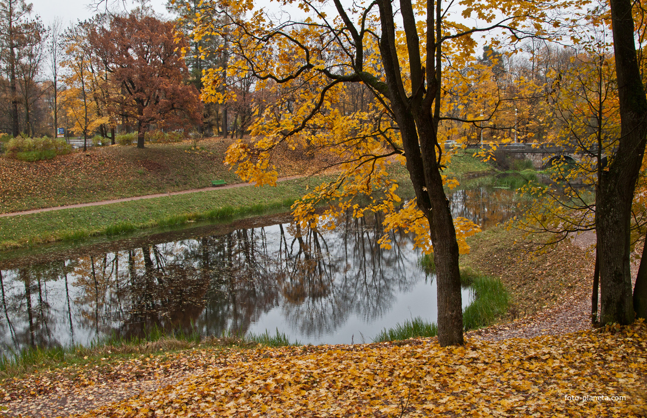 Дворцовый парк