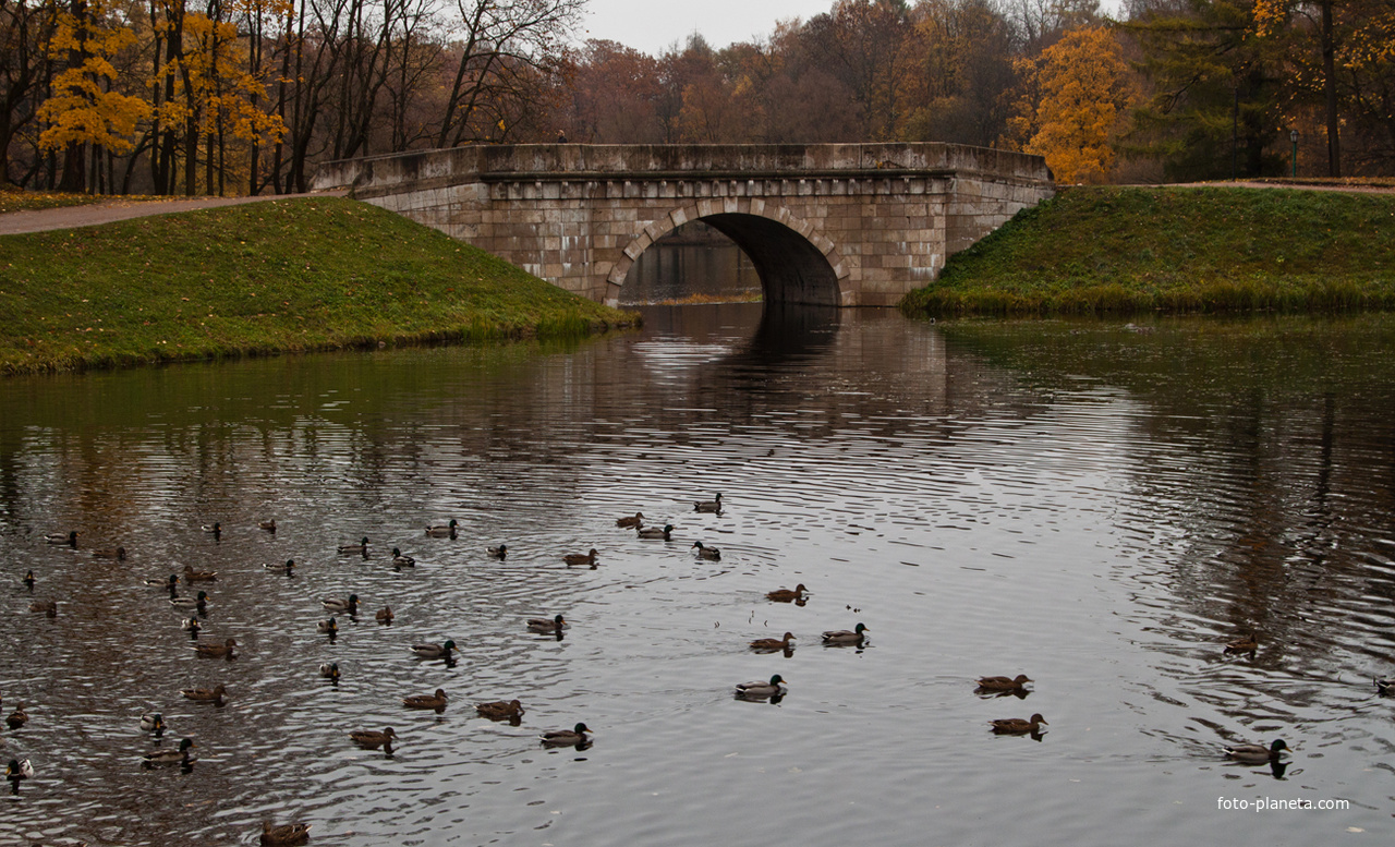 Карпин мост
