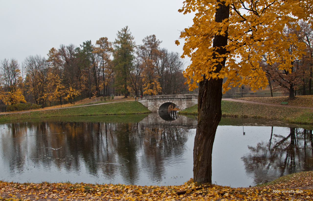 Карпин пруд