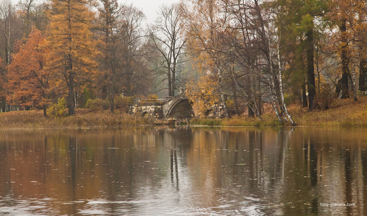 Дворцовый парк