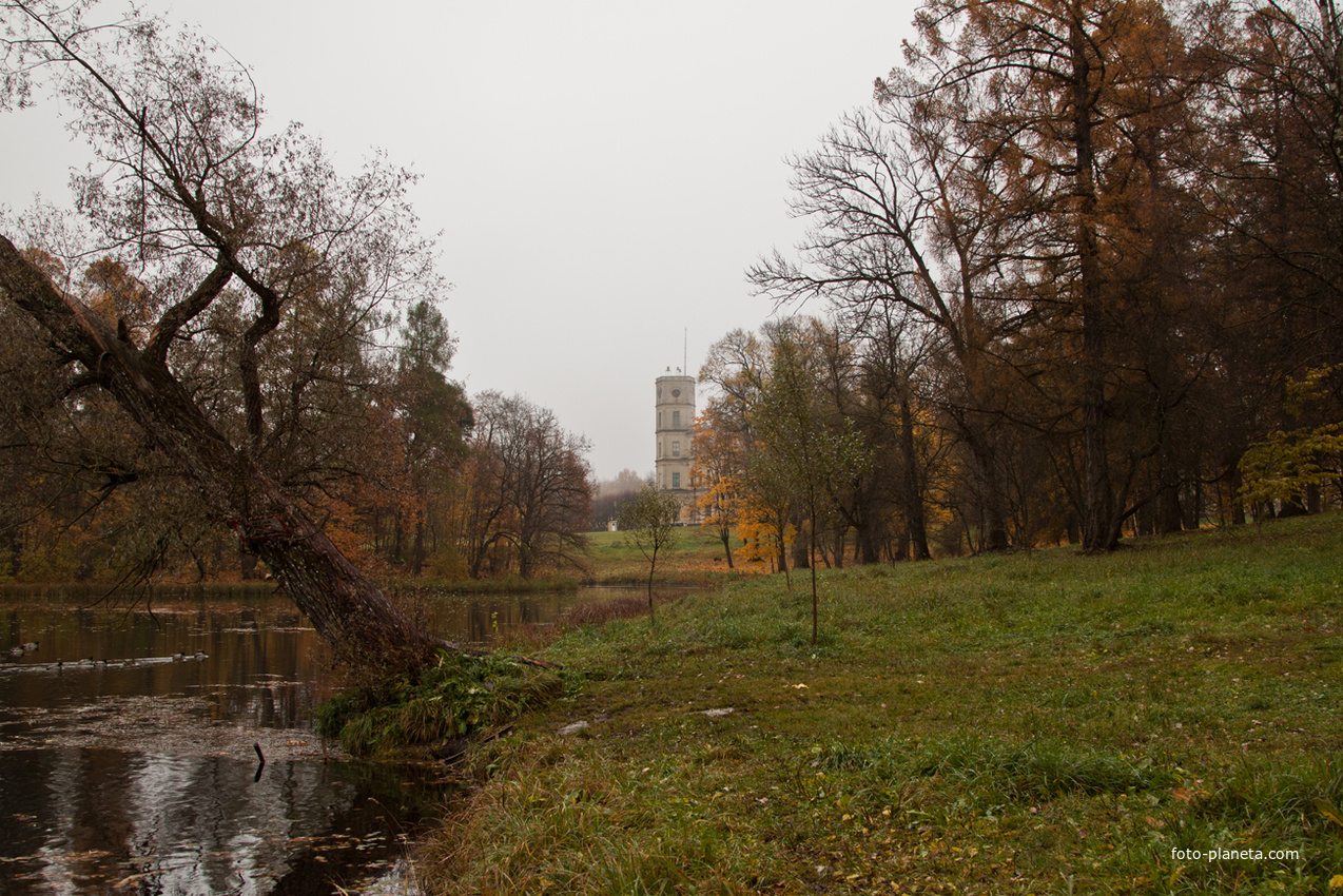 Дворцовый парк