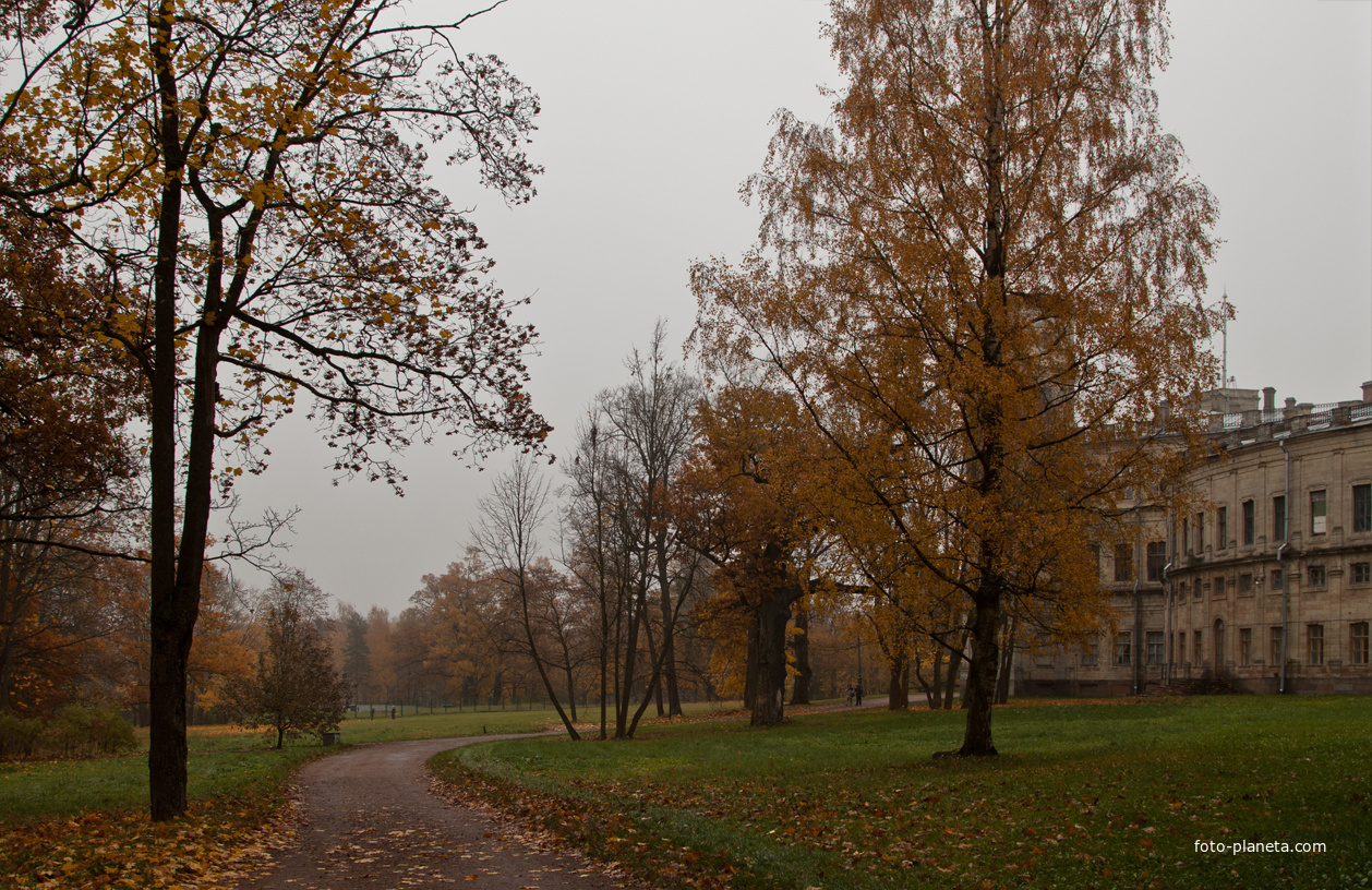 Дворцовый парк