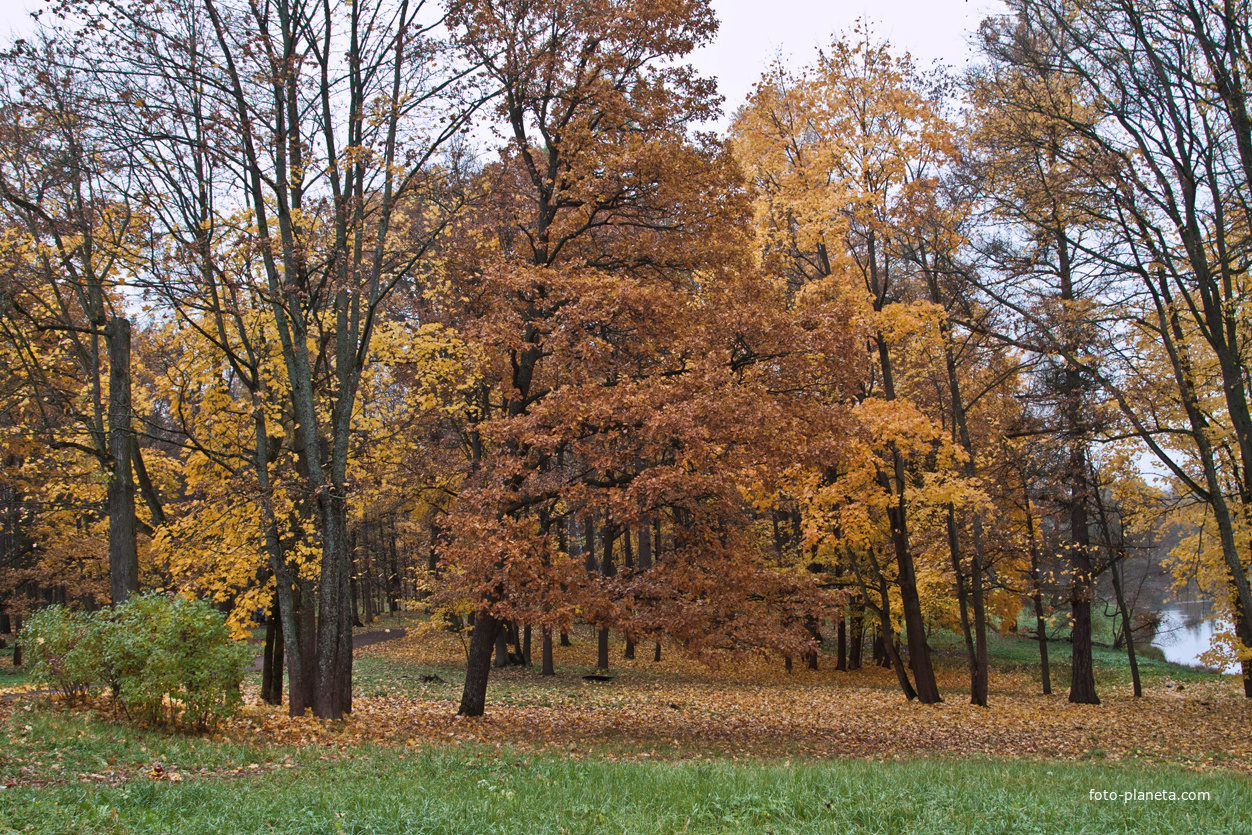 Дворцовый парк