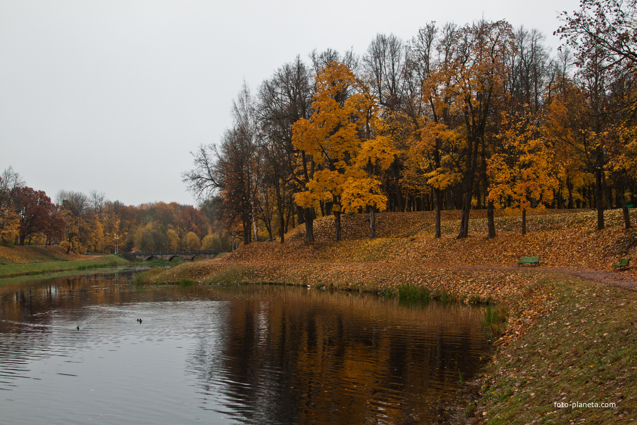 Карпин пруд