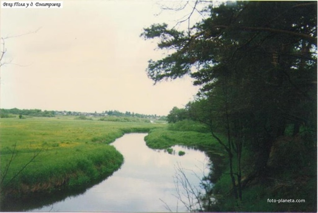 Река Поля у д. Дмитровка