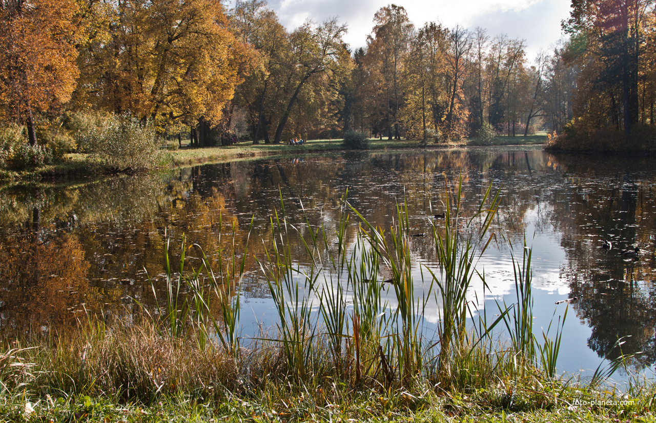 Большой Розовопавильонный пруд