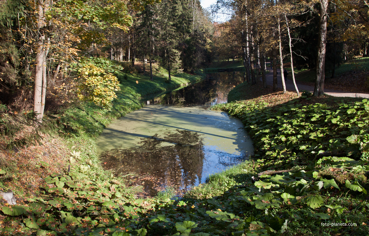 Нижний Розовопавильонный пруд