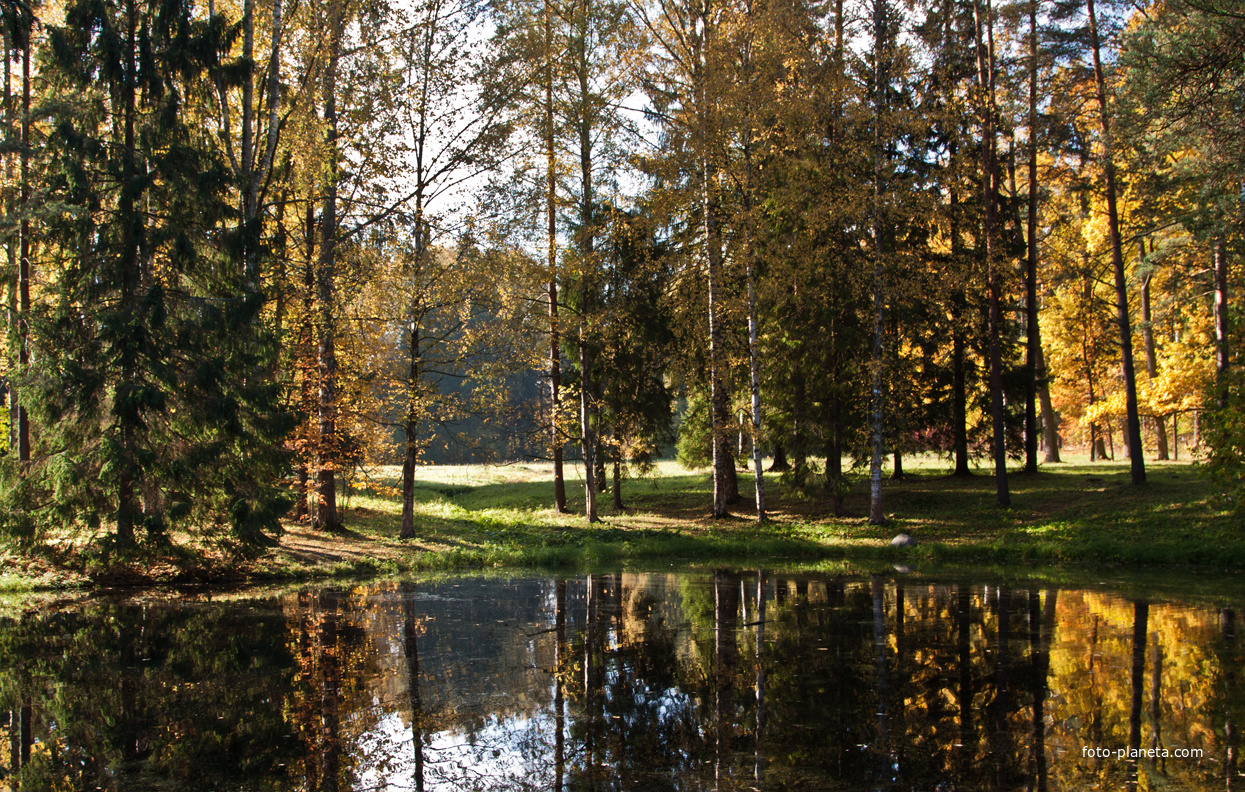 Нижний Розовопавильонный пруд