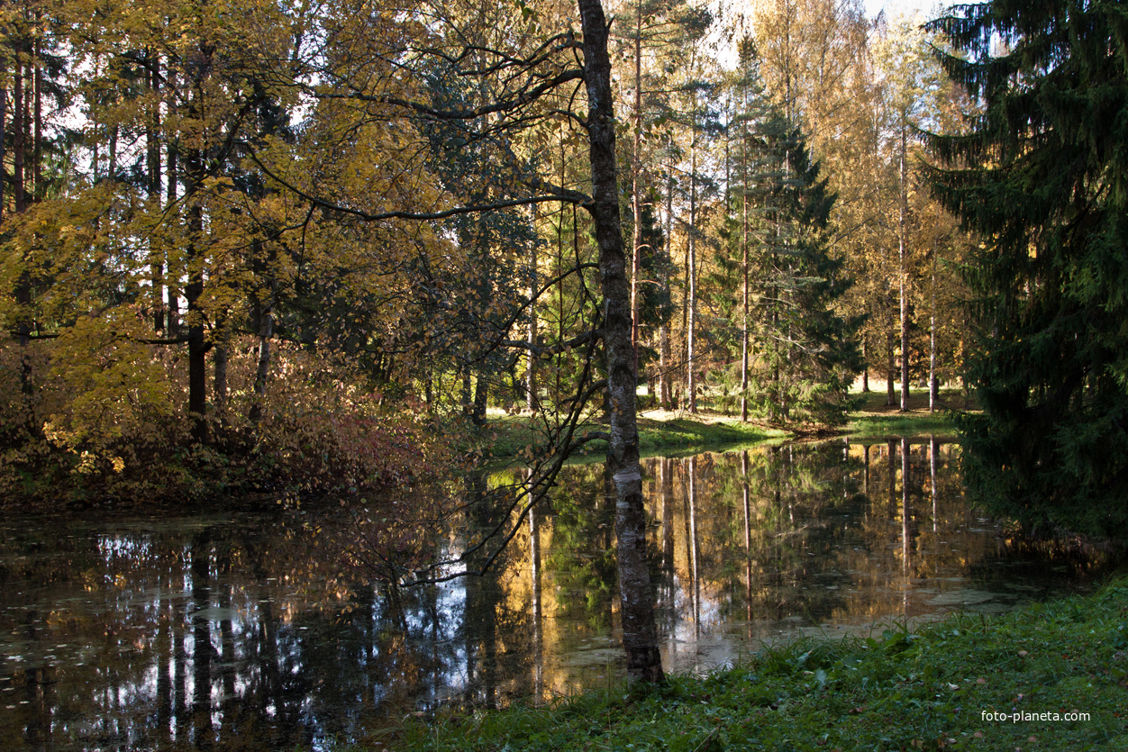 Нижний Розовопавильонный пруд