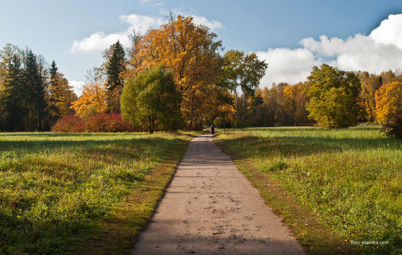 Павловский парк