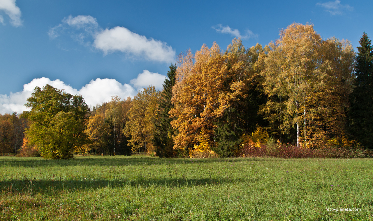Павловский парк