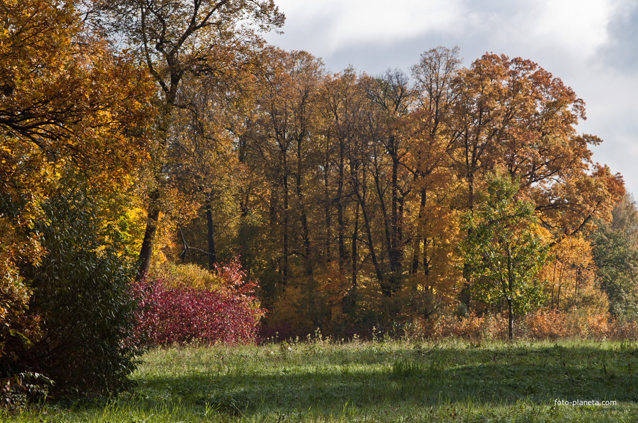 Павловский парк