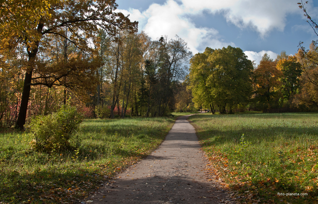 Павловский парк