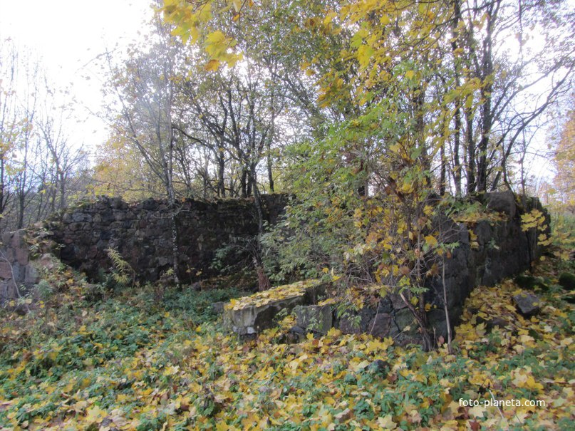 Парк бывшей усадьбы Брискорнов